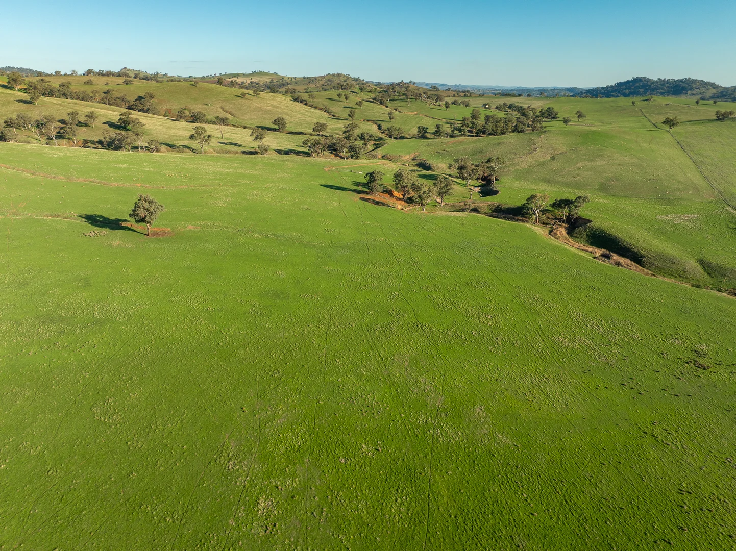 Additional image 10 of 1629 Darby Falls Road, Cowra NSW 2794