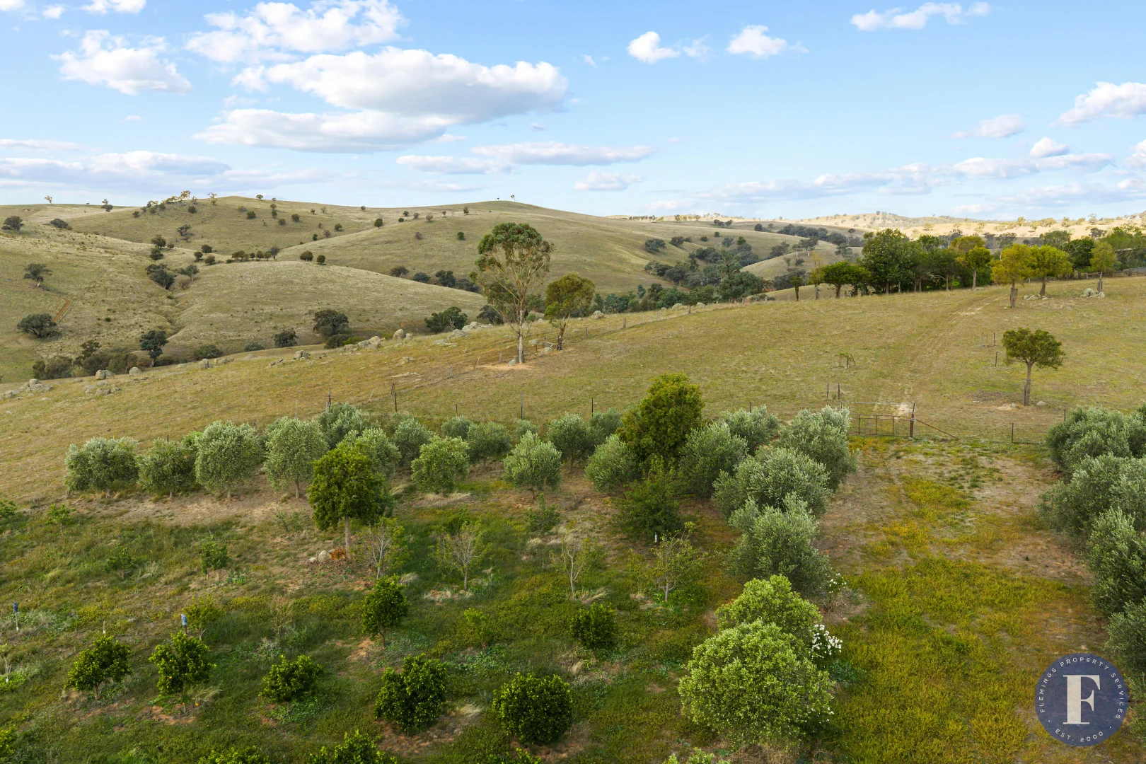 Additional image 18 of 438 Ironbark Lane, Frogmore NSW 2586