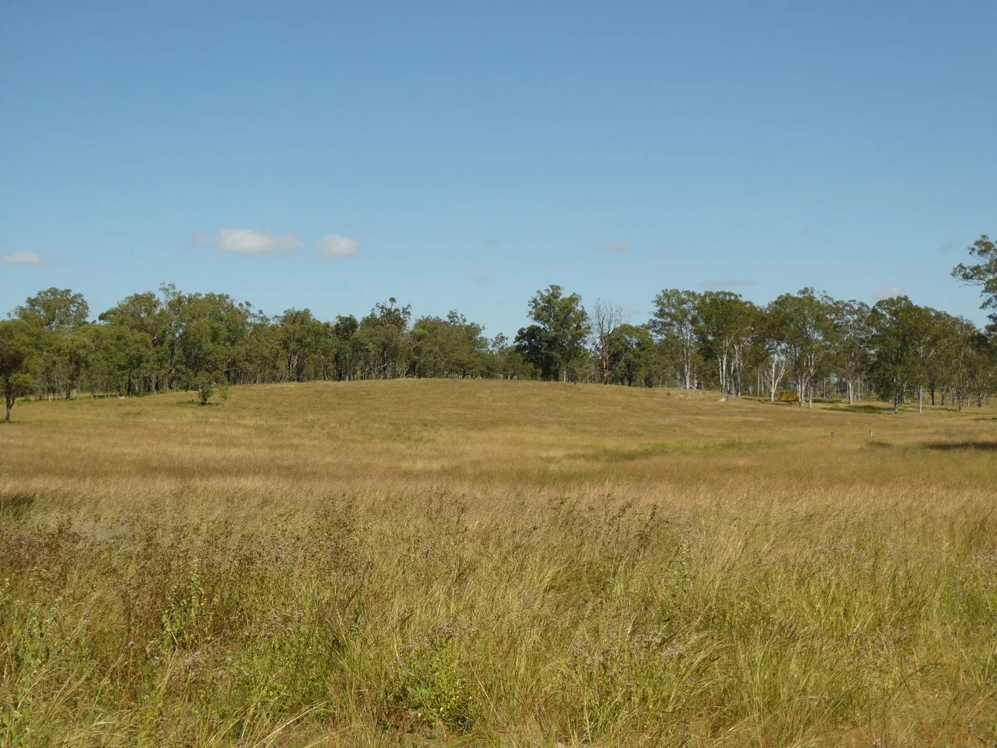 Additional image 14 of Lot 31 Brooweena Woolooga Road, Teebar QLD 4620