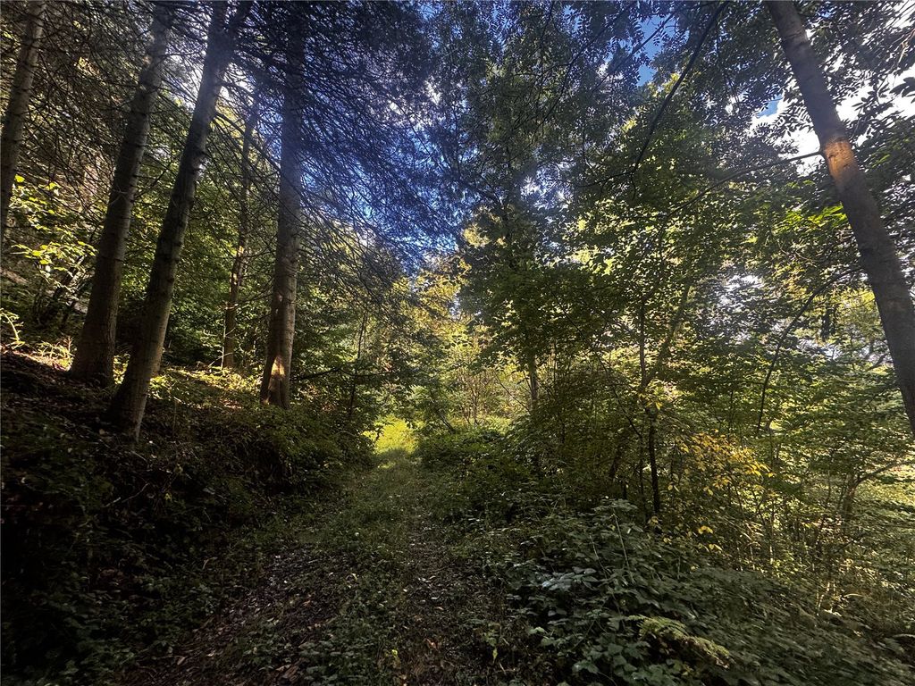 Additional image 3 of Land for saleBerriew, Welshpool, Powys SY21
