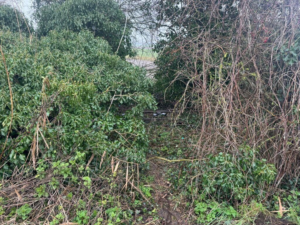 Additional image 4 of Land for saleHedgefield Hurn, Gosberton, Spalding, Lincolnshire PE11