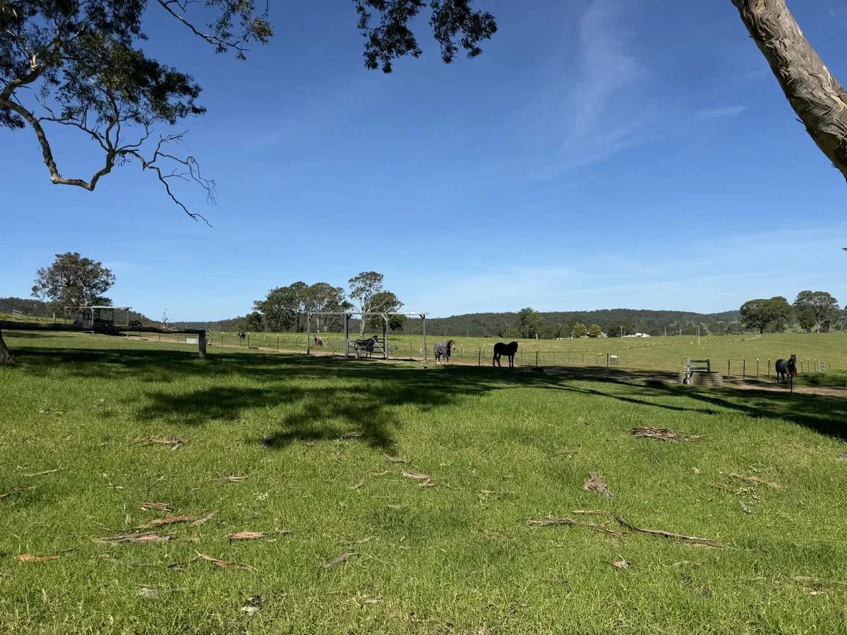 Additional image 5 of 46 Jersey Place, Cobargo NSW 2550