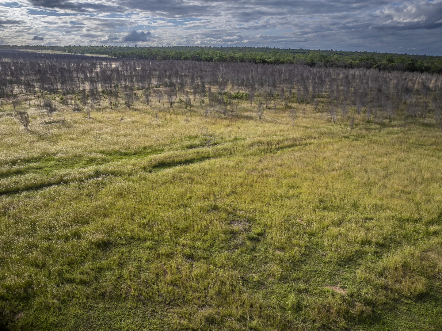 Additional image 16 of 1727 Boombah Road, Mackenzie QLD 4702