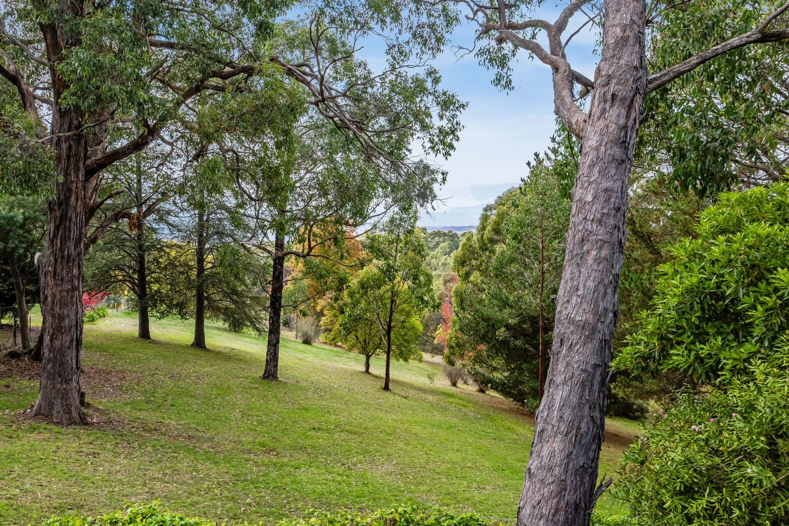 Additional image 25 of 174 Carey Gully Road, Mount George SA 5155