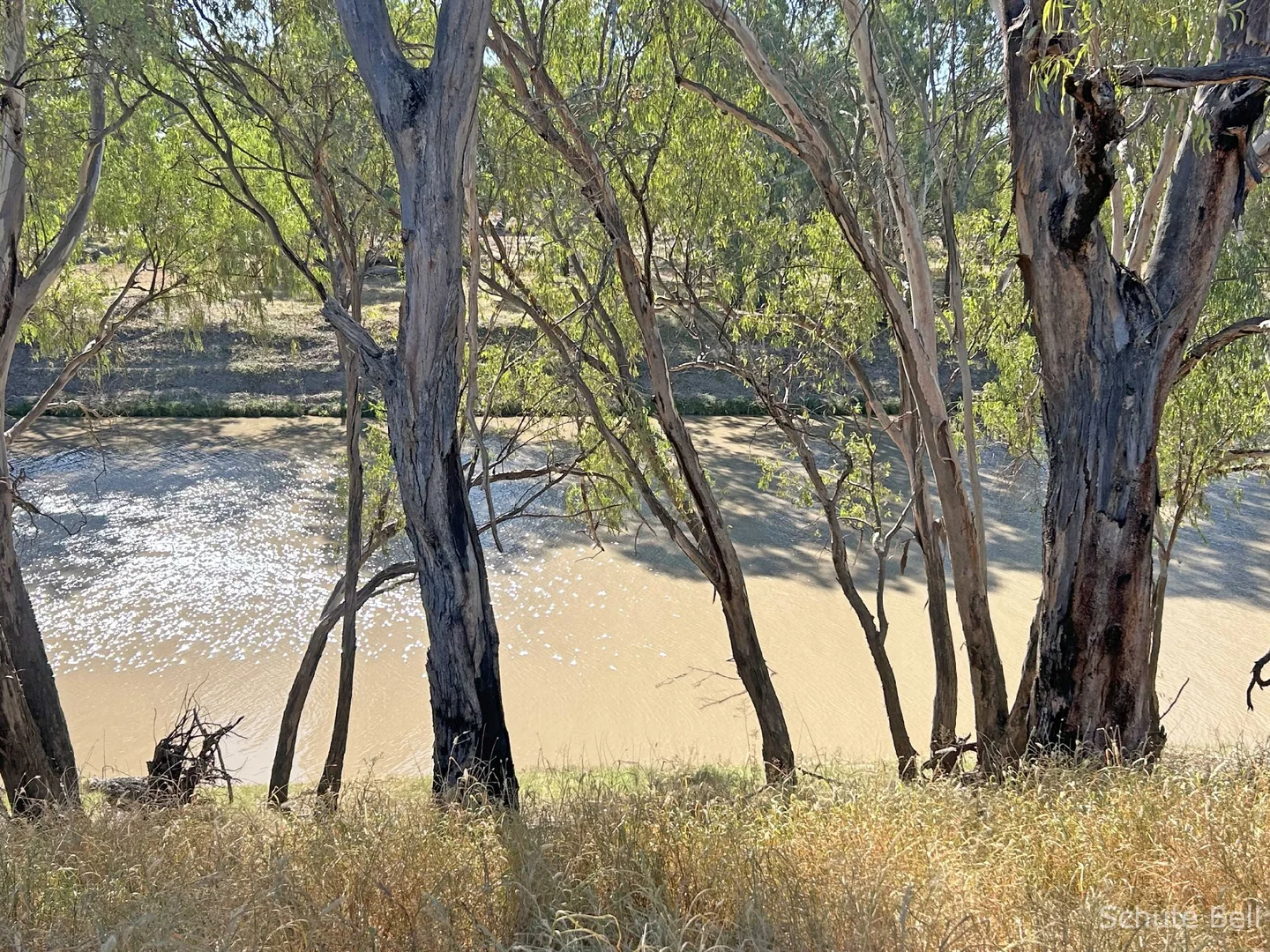 Additional image 18 of 12 Yambacoona St, Bourke NSW 2840