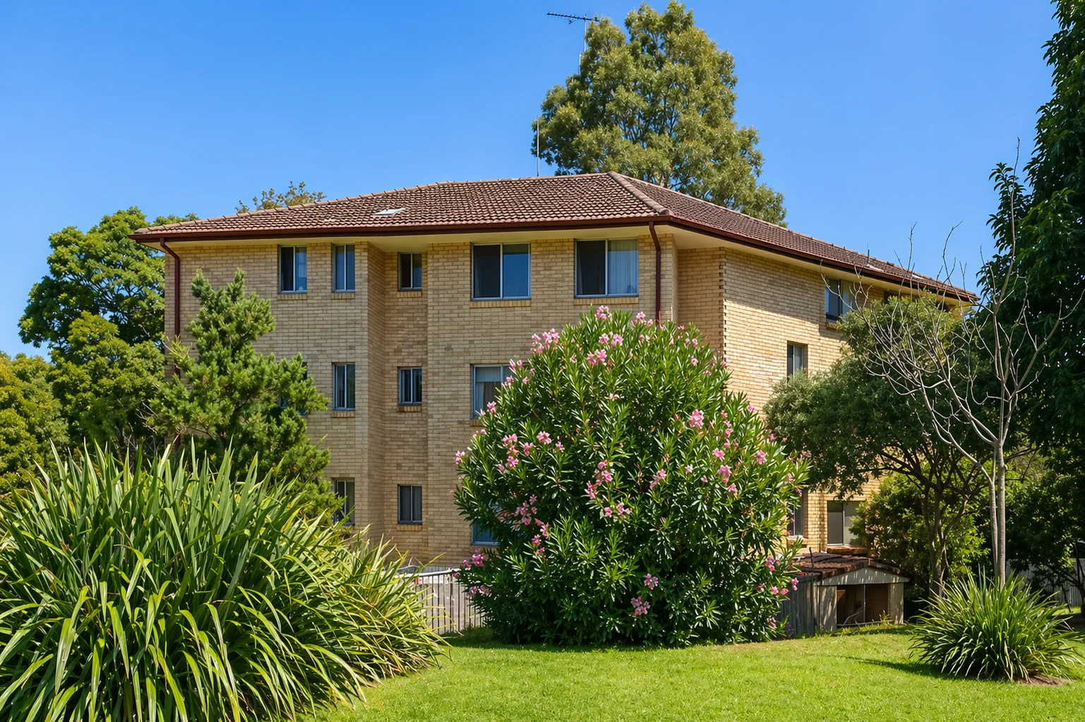 Additional image 5 of 3/10 Kynaston Avenue, Randwick NSW 2031