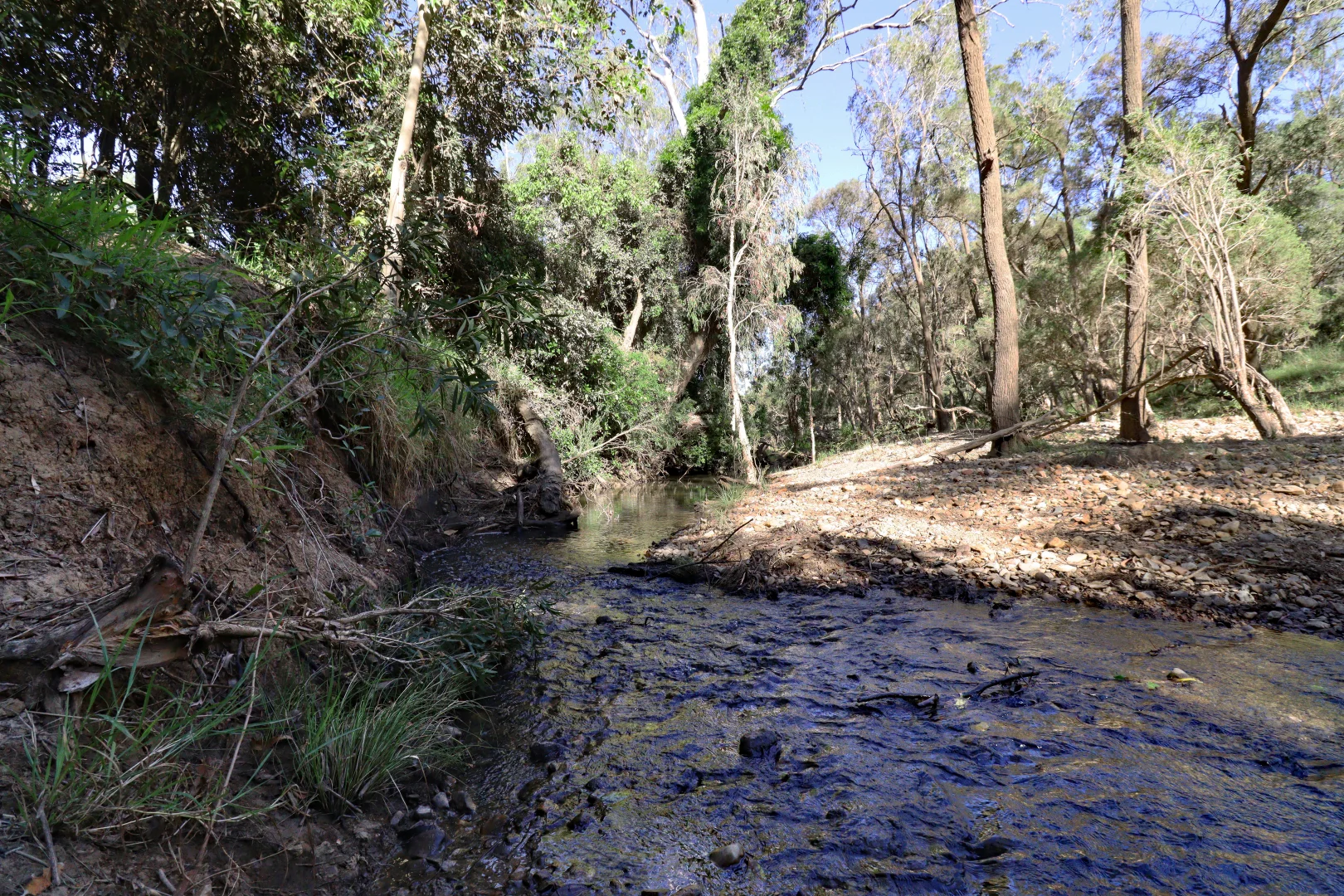 Additional image 3 of 2956 Dawson Highway, Calliope QLD 4680