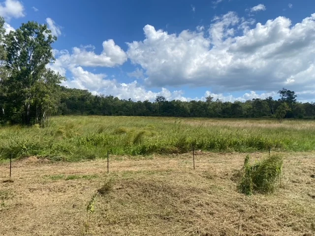 Additional image 4 of Lot 21 Exmoor Road, Bloomsbury QLD 4799