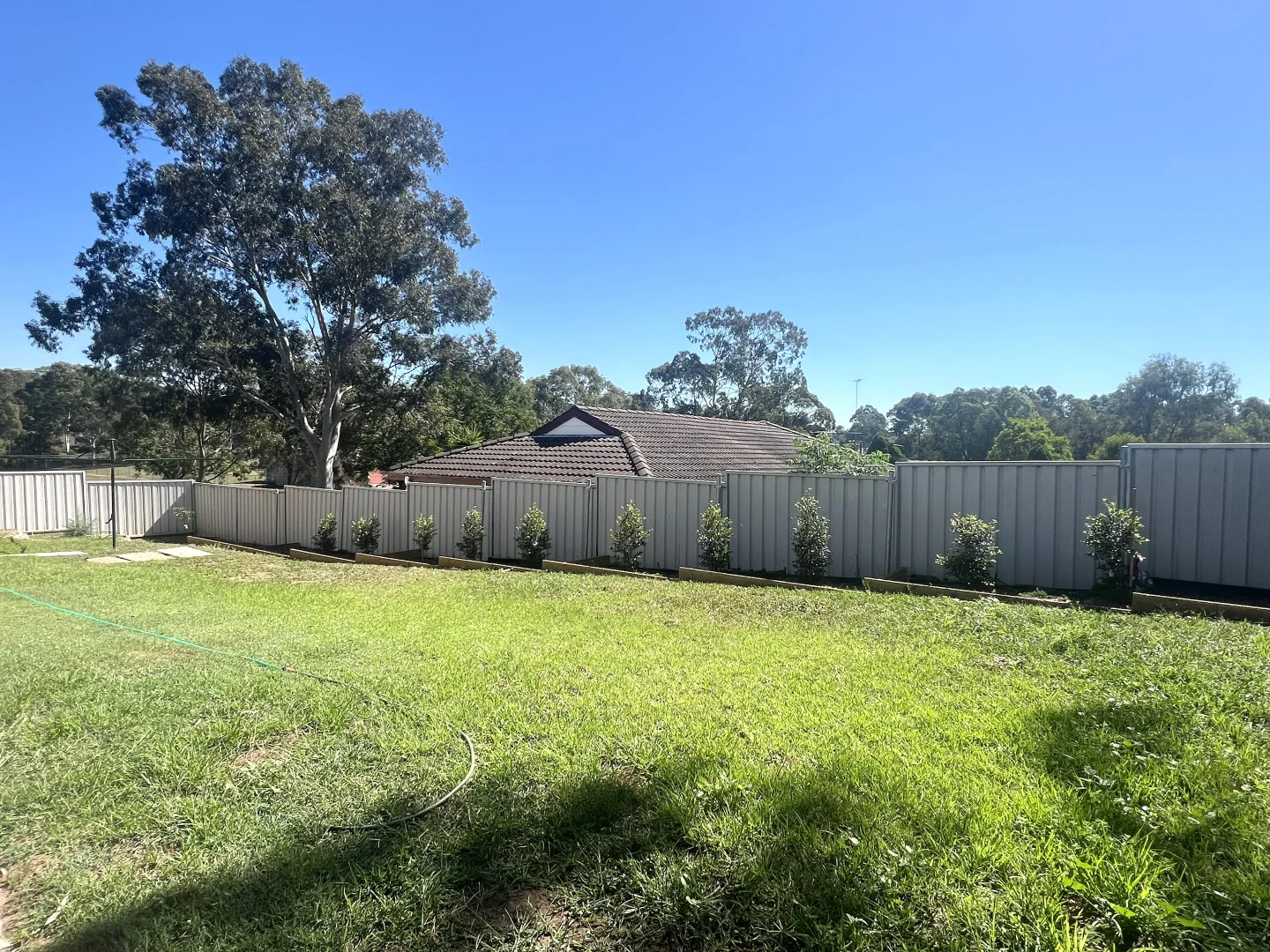 Additional image 10 of 1 Beh Close, Singleton Heights NSW 2330