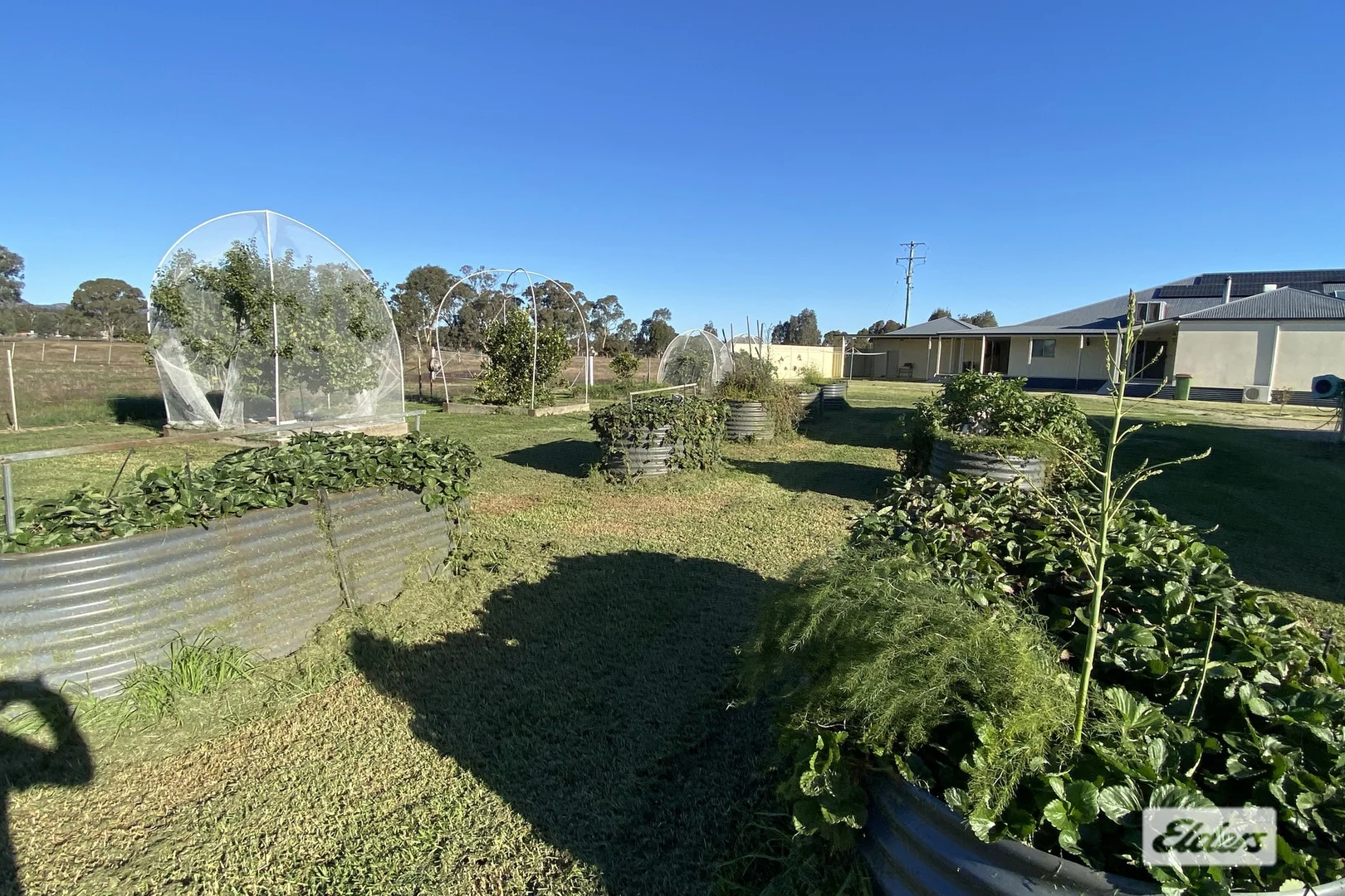 Additional image 18 of 1161 Walla Walla Road, Gerogery NSW 2642