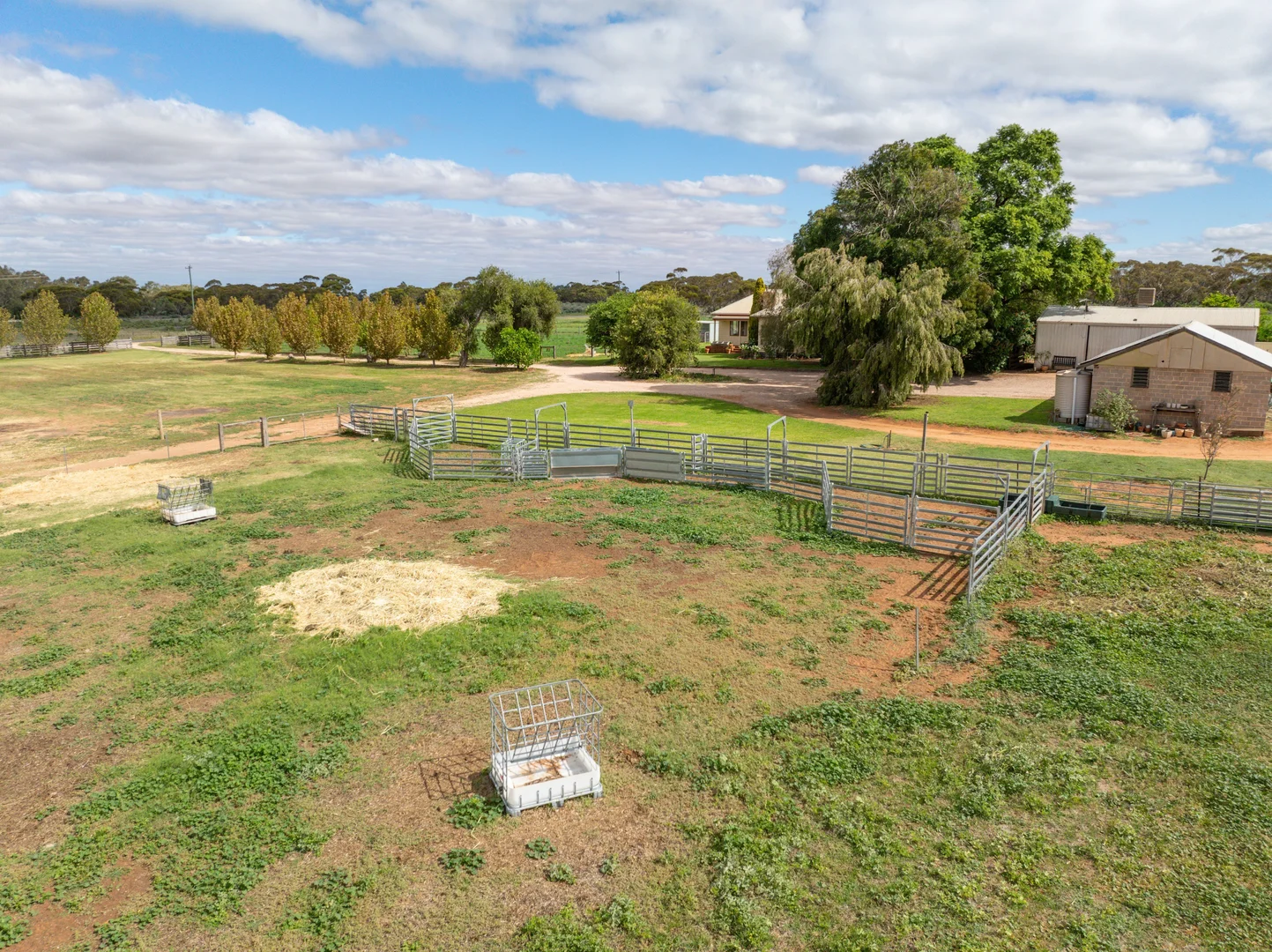 Additional image 31 of 254 Seventh Street, Merbein South VIC 3505