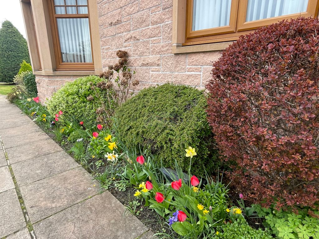 Additional image 19 of 2 bed flat for sale9 Mosset Grove, Forres, Moray IV36
