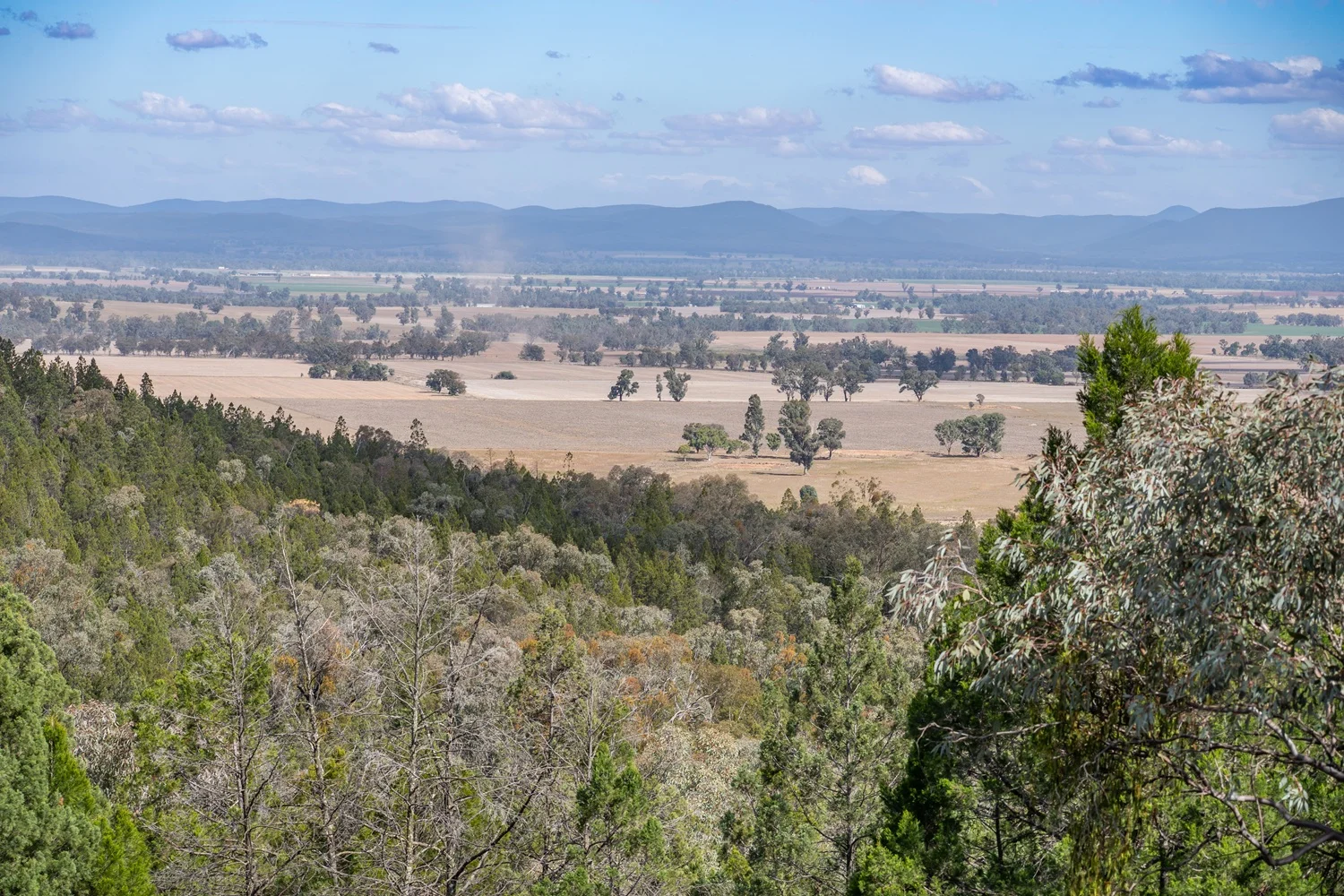 Additional image 26 of 3705 Nanami Lane, Canowindra NSW 2804