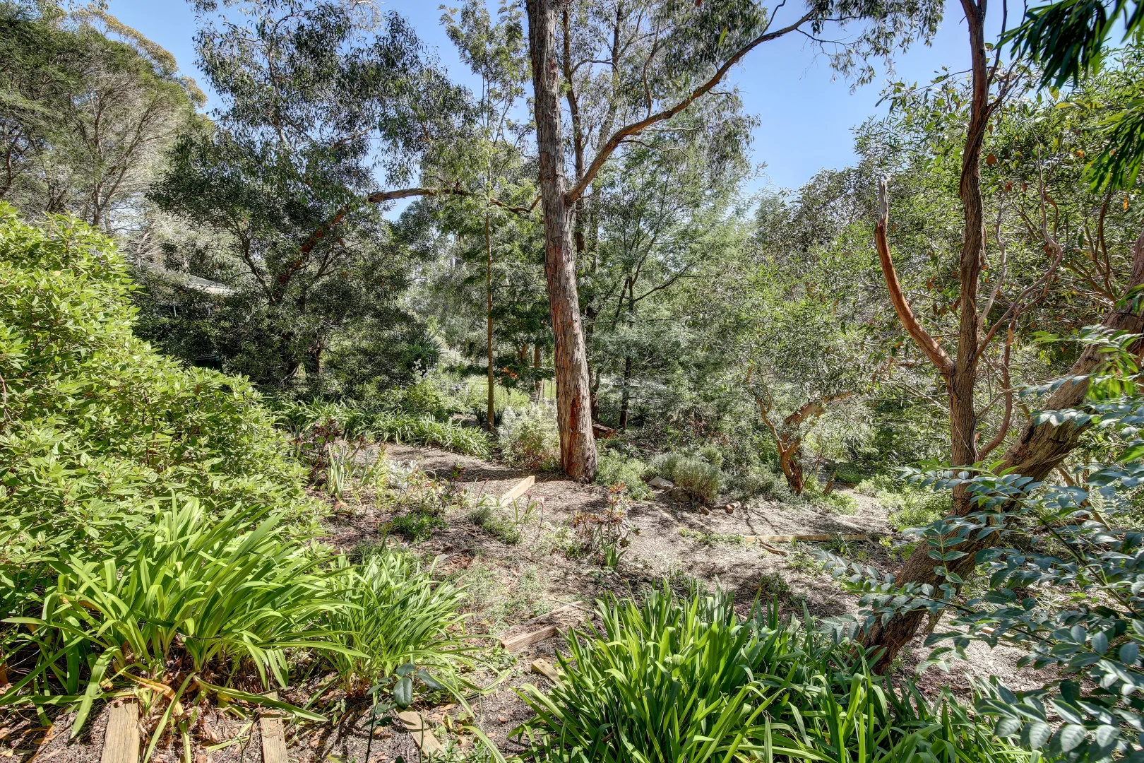Additional image 27 of 66 Emmett Road, Crafers West SA 5152