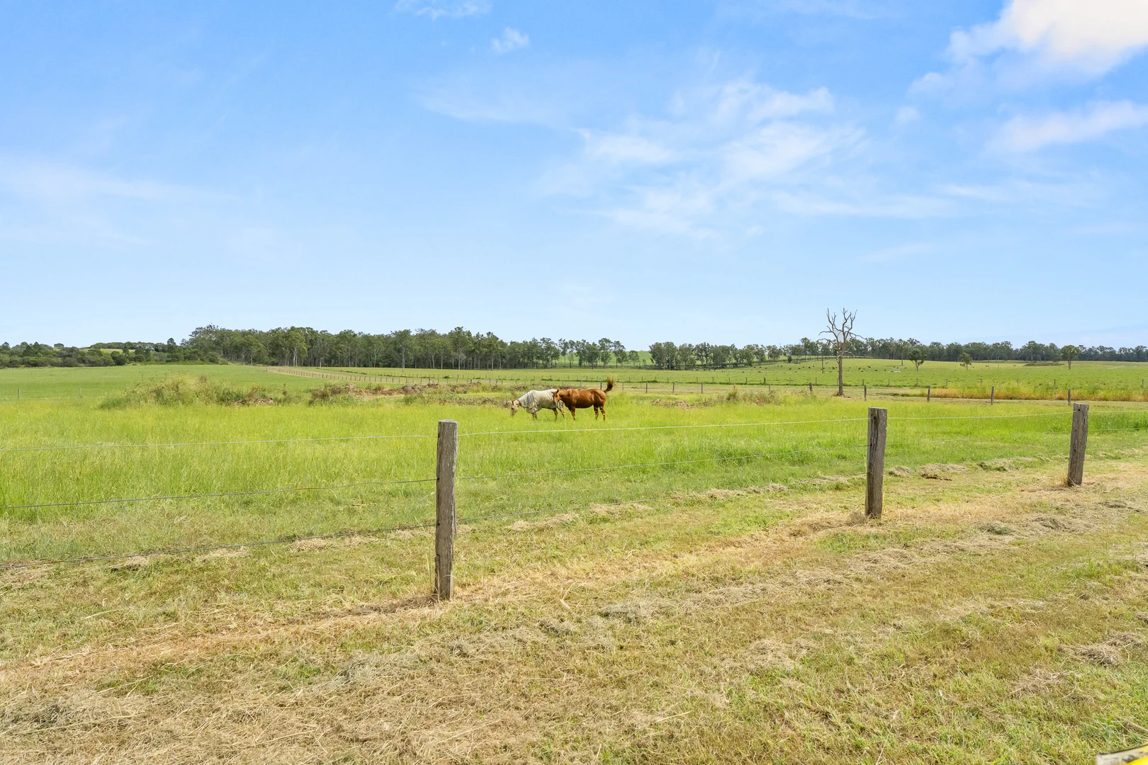 Additional image 25 of 136 Barrage Road East, Mungar QLD 4650