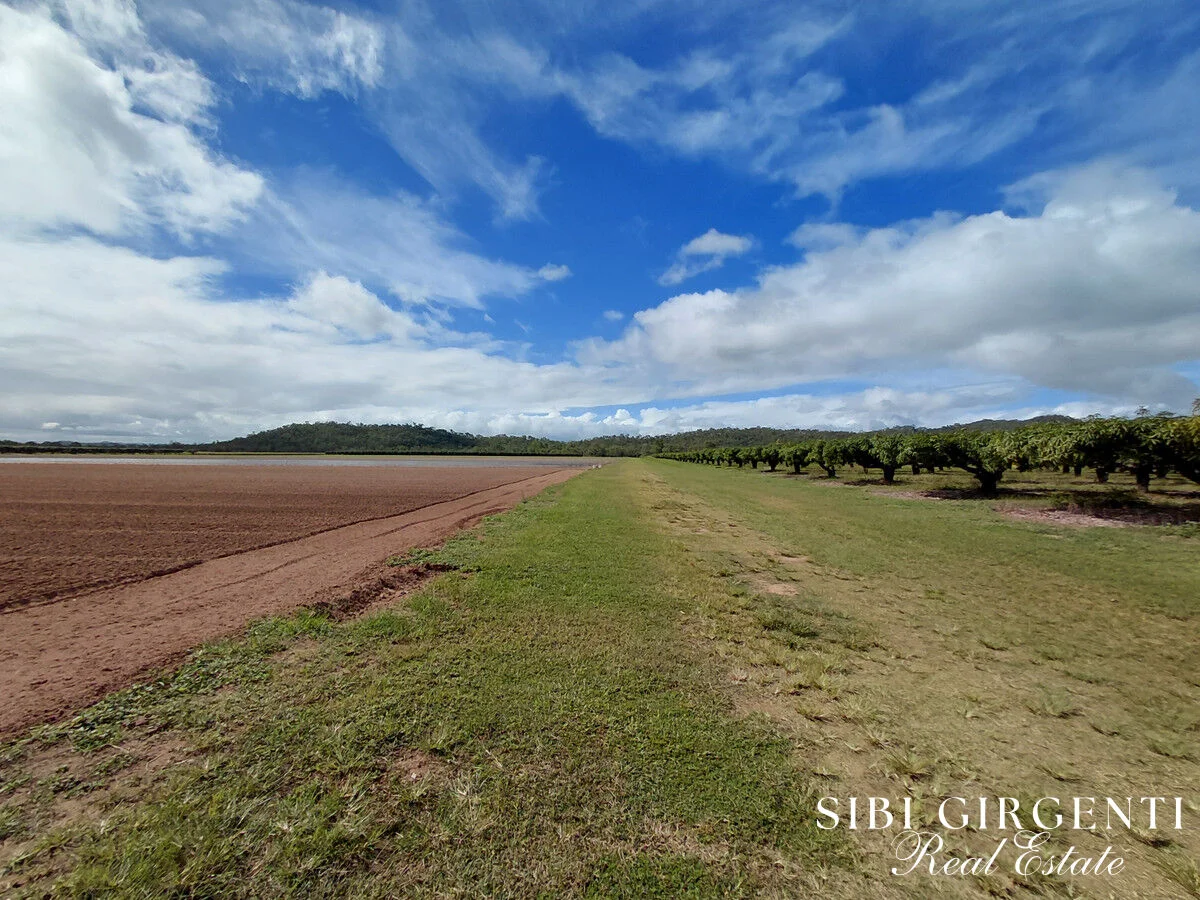 Additional image 13 of 262 Gilmore Road, Mareeba QLD 4880