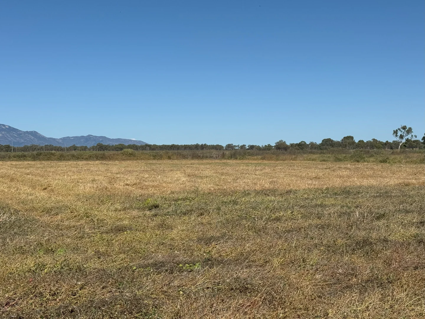 Additional image 3 of MULTIPLE LOTS Nevada Road, Guthalungra QLD 4805
