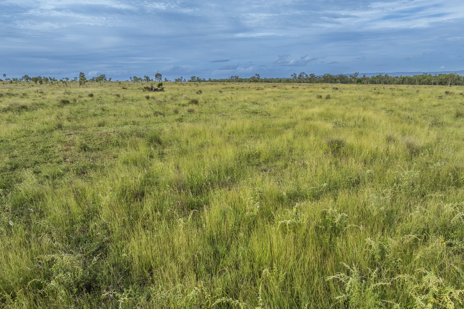 Additional image 20 of 1727 Boombah Road, Mackenzie QLD 4702