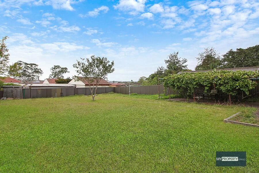 Additional image 5 of 46 Phyllis Street, Mount Pritchard NSW 2170