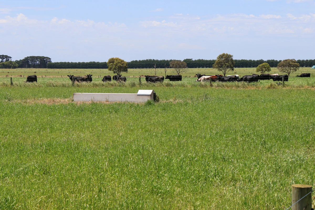 Additional image 22 of 'Mount View' Occupation Lane, Panmure VIC 3265