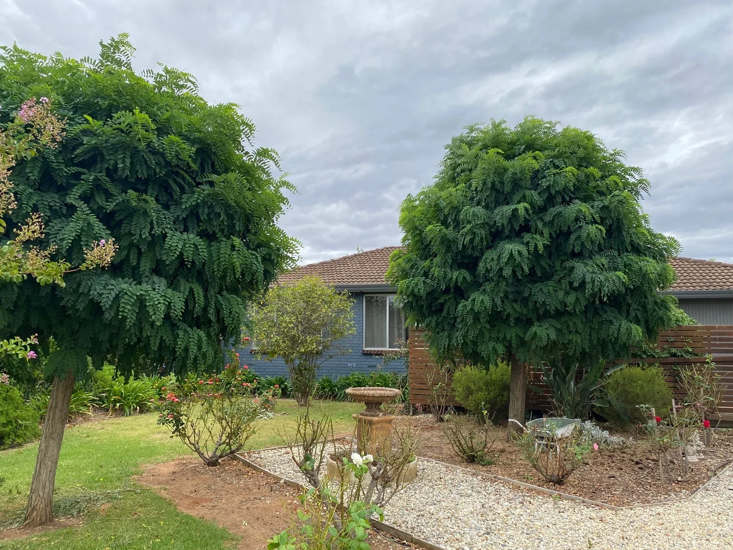 Additional image 2 of 54 Birdwood Street, Corowa NSW 2646