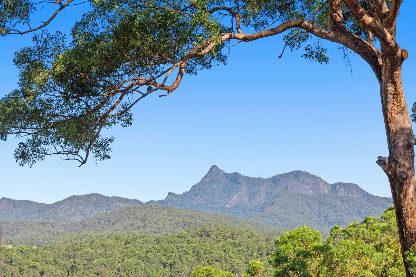 Additional image 4 of 76 Bald Mountain Road, Limpinwood NSW 2484