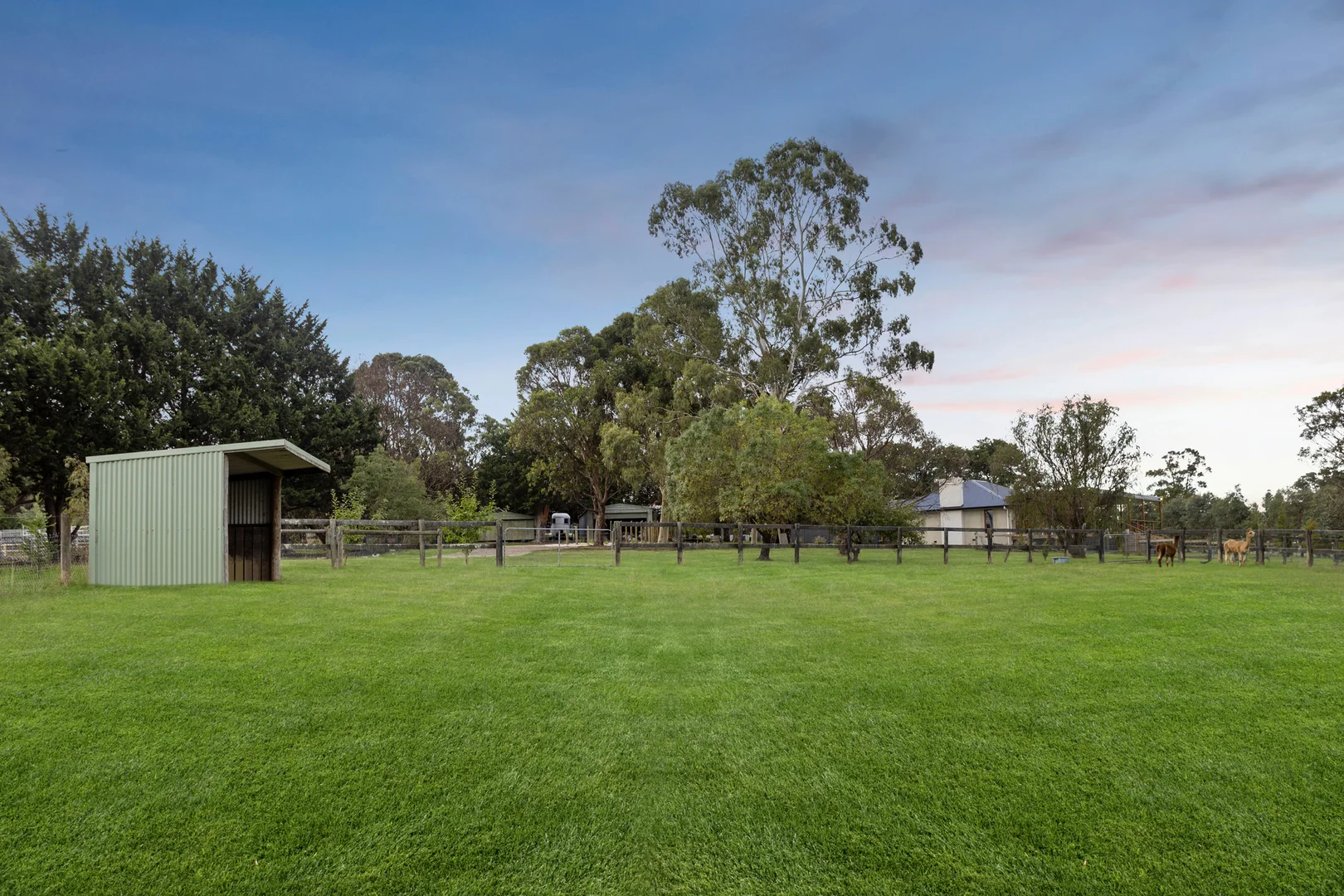 Additional image 10 of 78 Weeroona Road, Langwarrin South VIC 3911