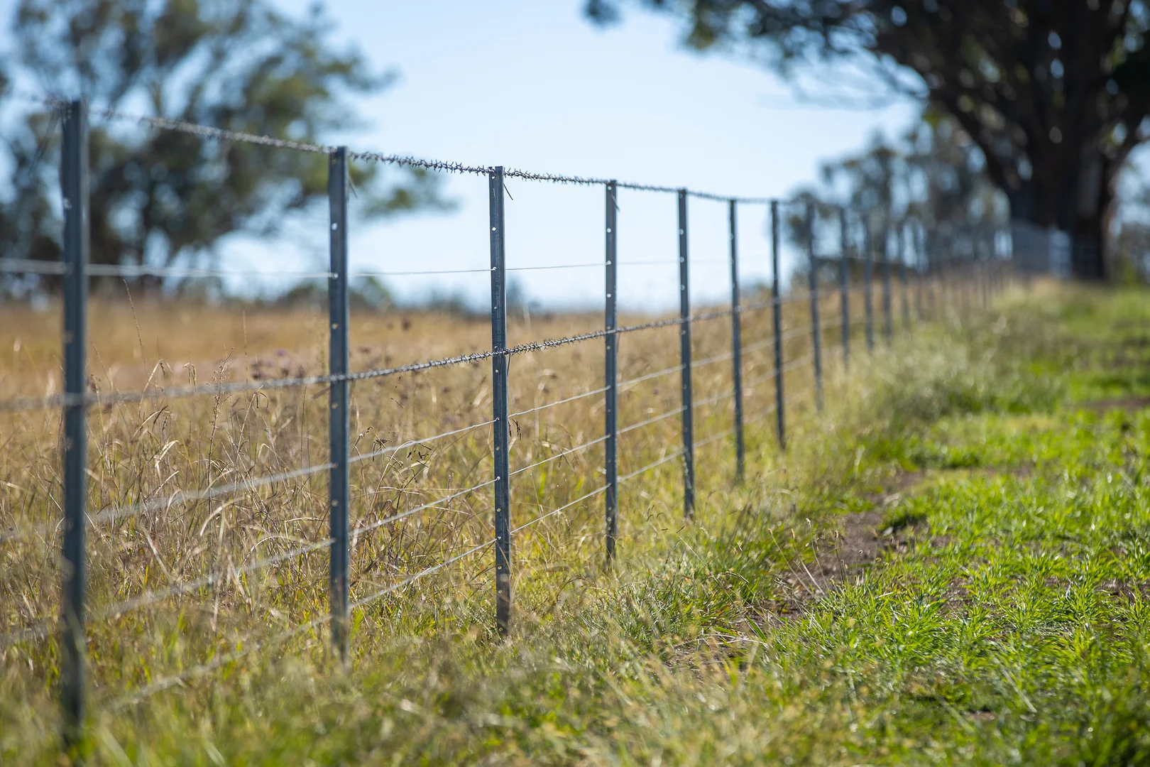 Additional image 13 of 700 Oaklands Road Yarrowitch Valley Via, Walcha NSW 2354