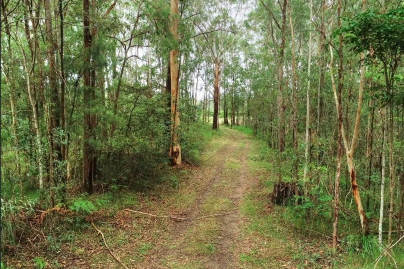Additional image 28 of 500 McConnell Road, Bracalba QLD 4512
