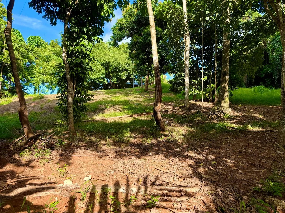 Additional image 4 of 68 Cutten Street, Bingil Bay QLD 4852