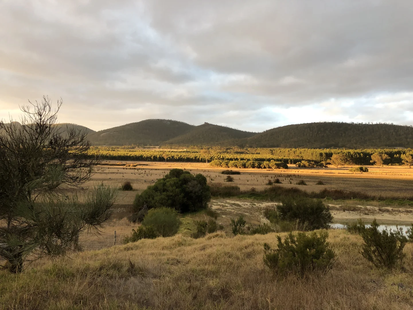 Additional image 36 of 2099 Yellanup Road, Porongurup WA 6324