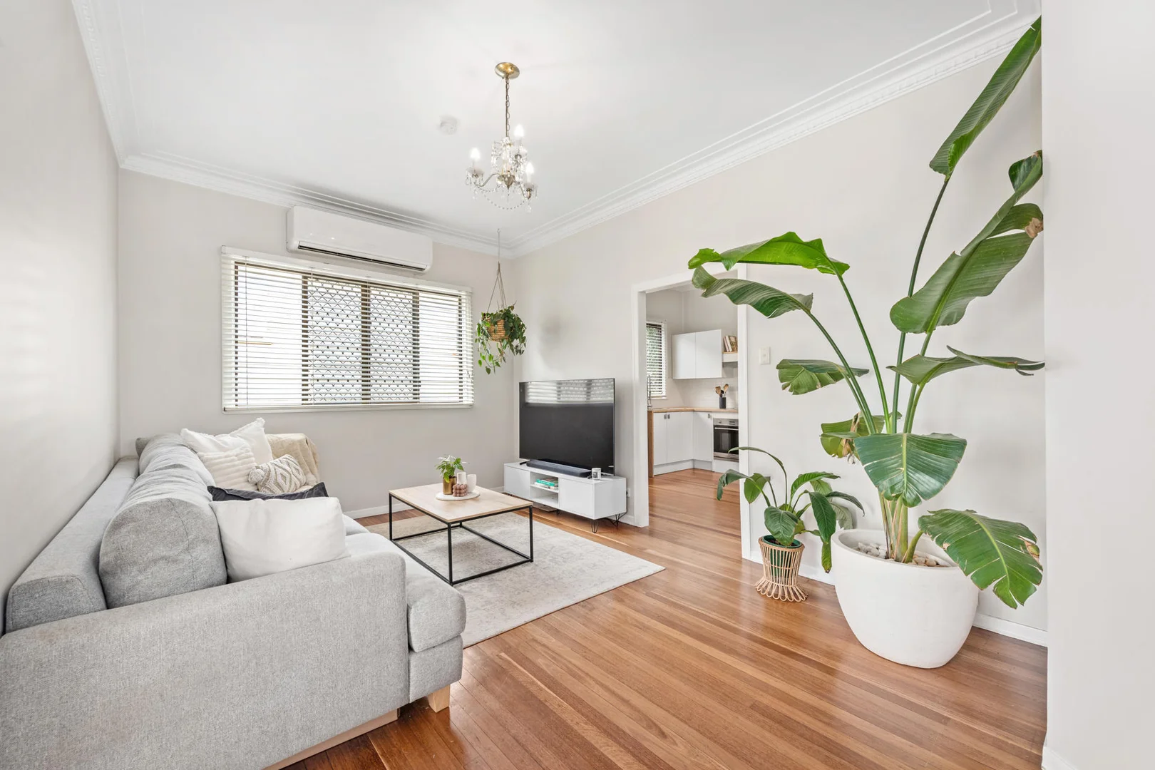 263 Richmond Road, Morningside QLD 4170 photo 5