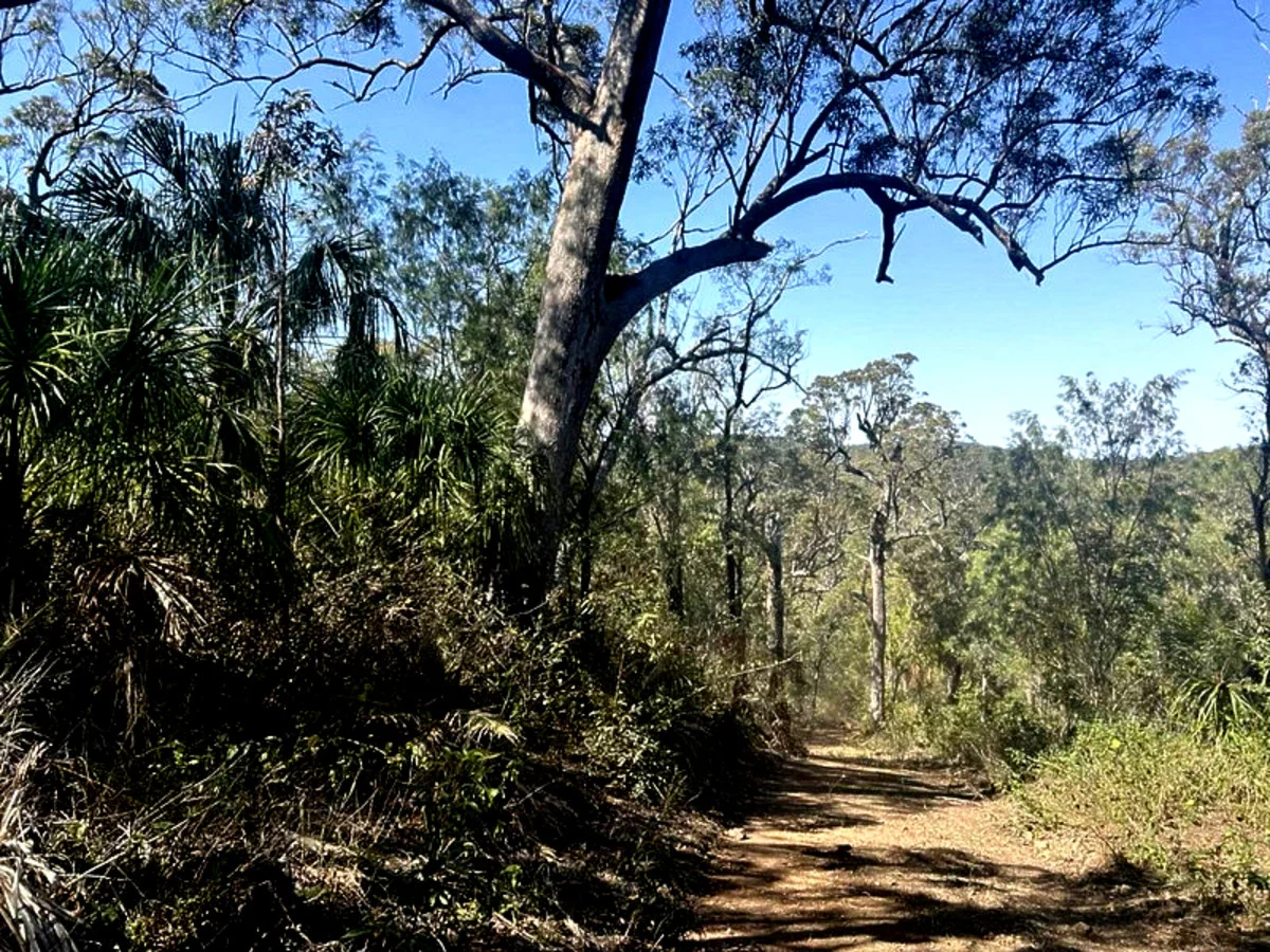 1290 Nine Mile Road, Nine Mile Creek QLD 4714