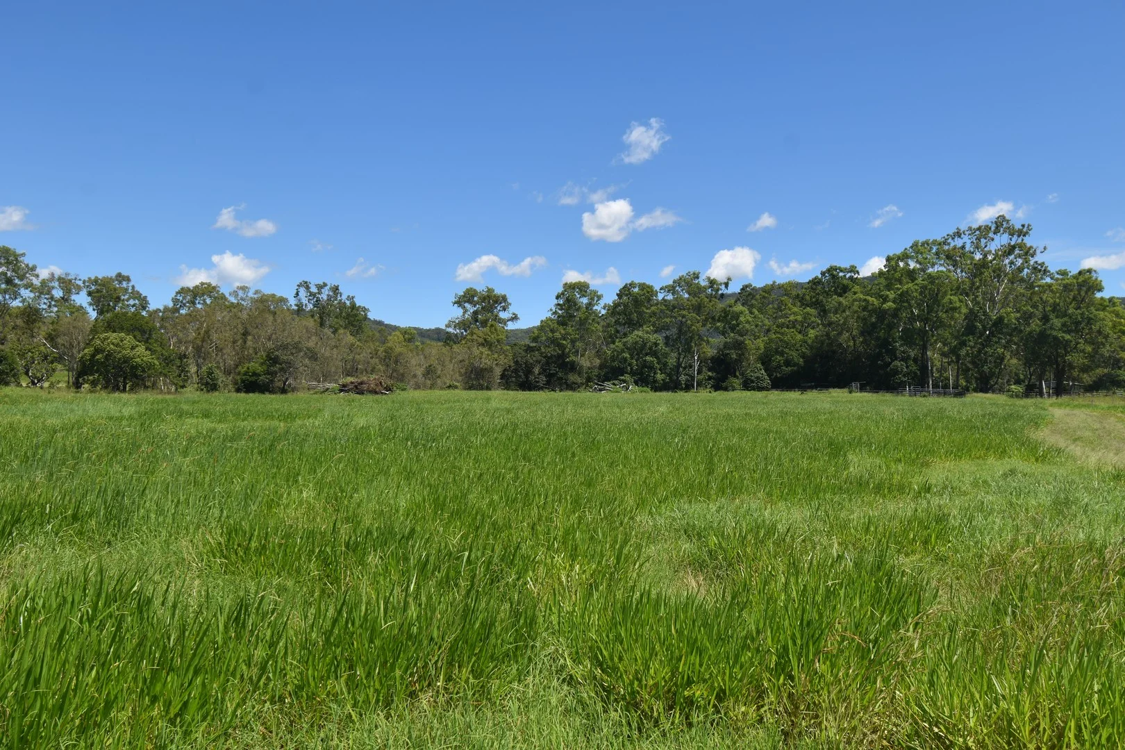 1863 Sarina Homebush Road, Oakenden QLD 4741