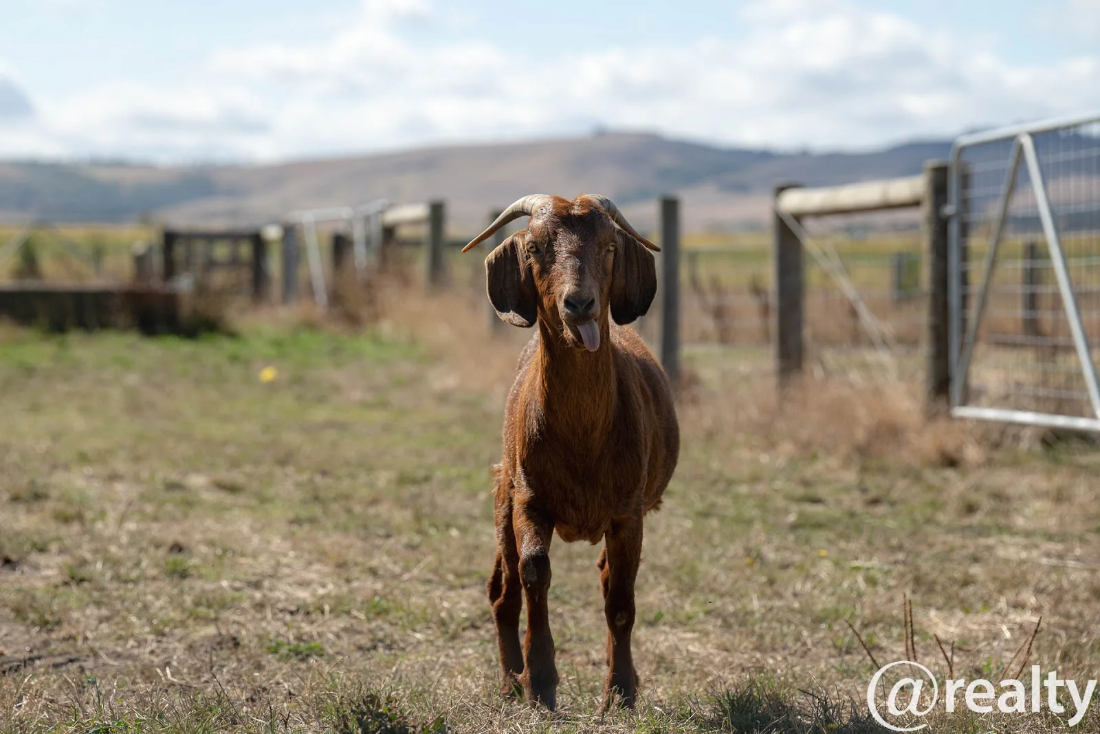 Additional image 18 of 7 Woolmer Road, Bass VIC 3991