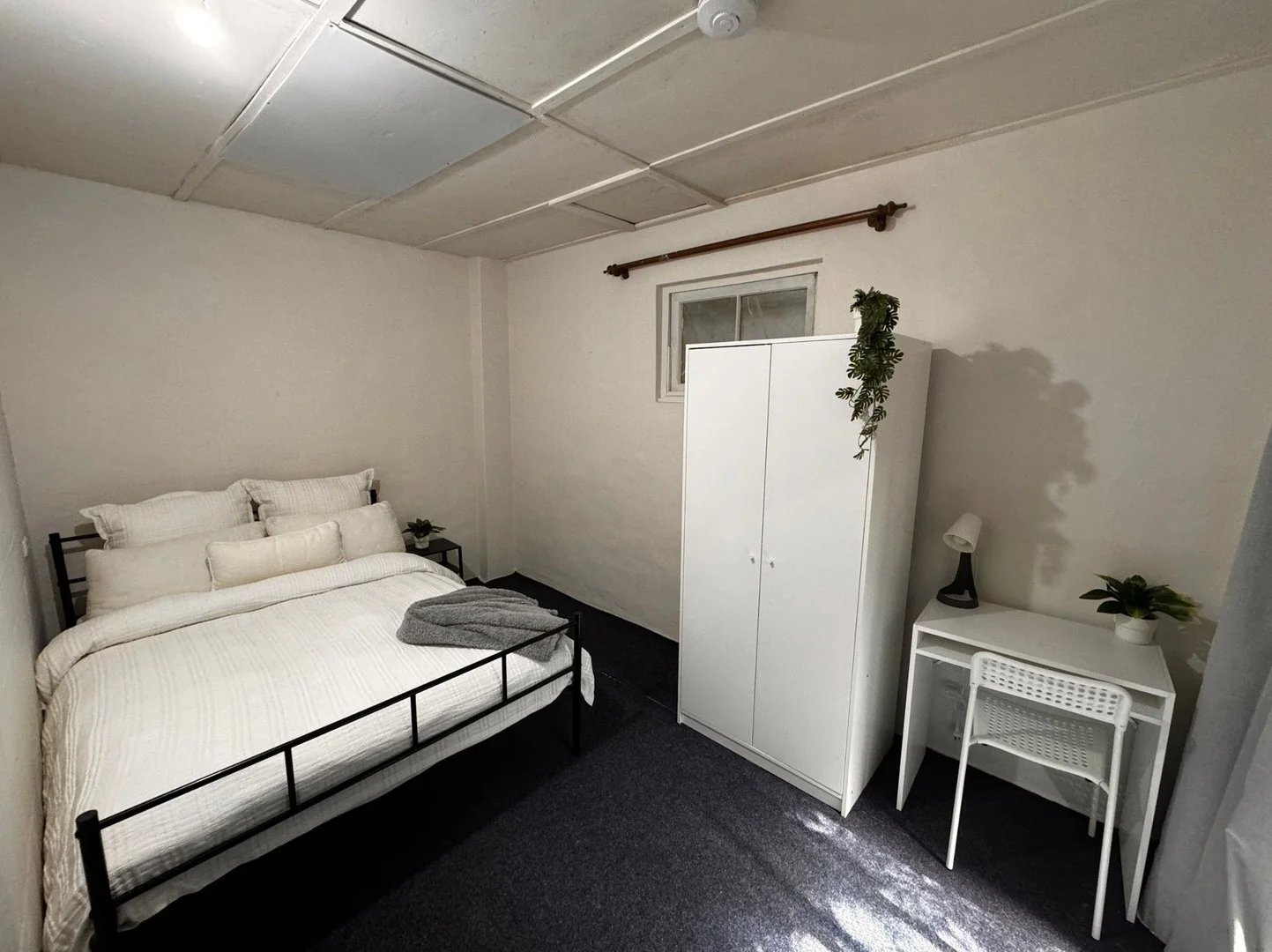 59 Parramatta Rd, Annandale NSW 2038
