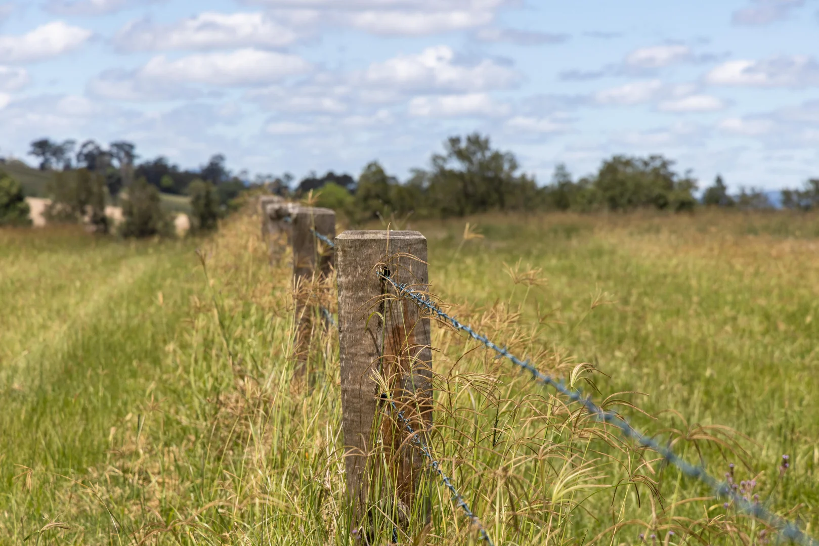 Additional image 16 of Lot 7/1197 Kenilworth - Skyring Creek Road, Tuchekoi QLD 4570
