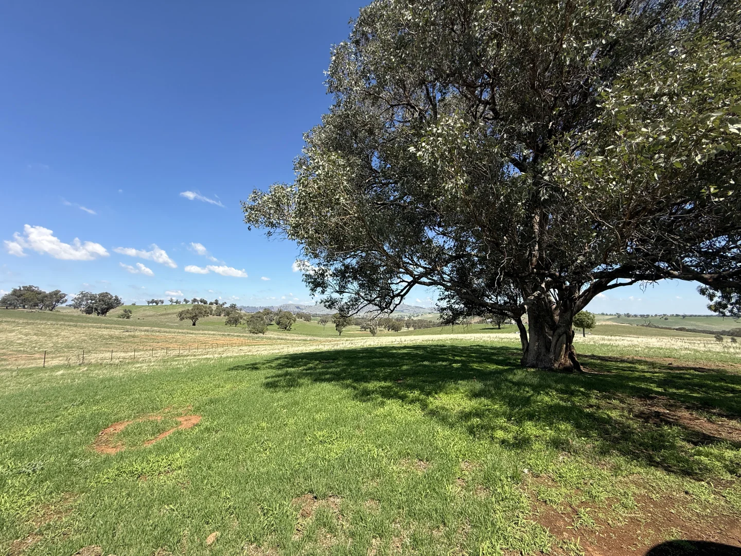 Additional image 10 of Camerons Hill Lot 17 Reynolds Lane, Binalong NSW 2584