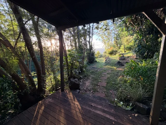Additional image 24 of 2448 Dunoon Road, Rosebank NSW 2480