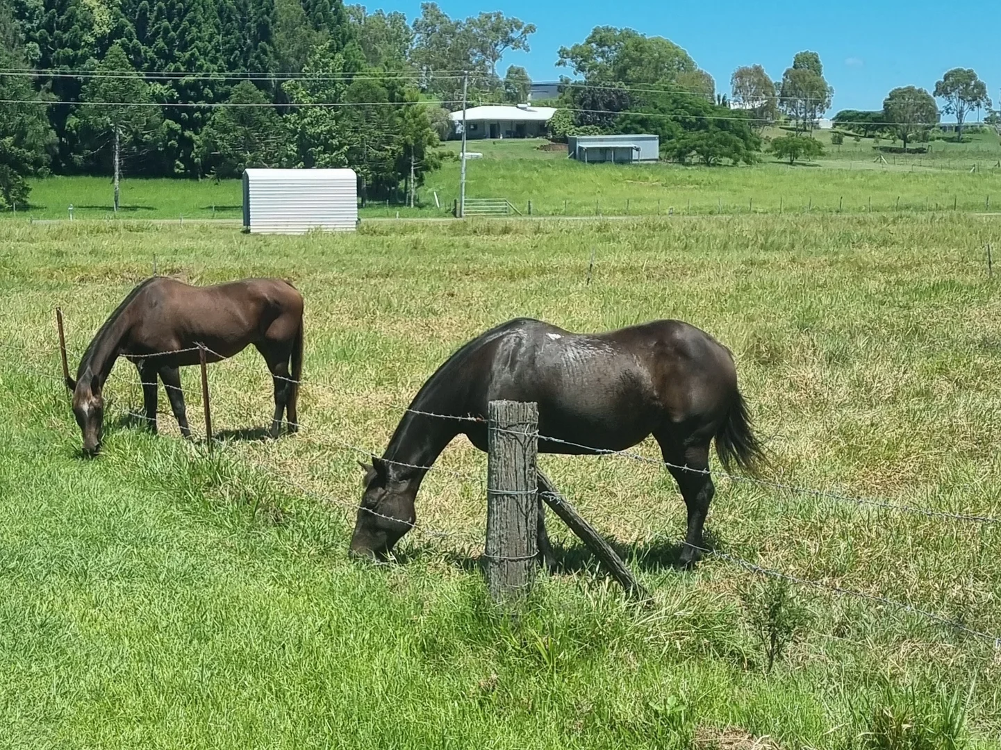 Additional image 18 of Alligator Creek QLD 4740