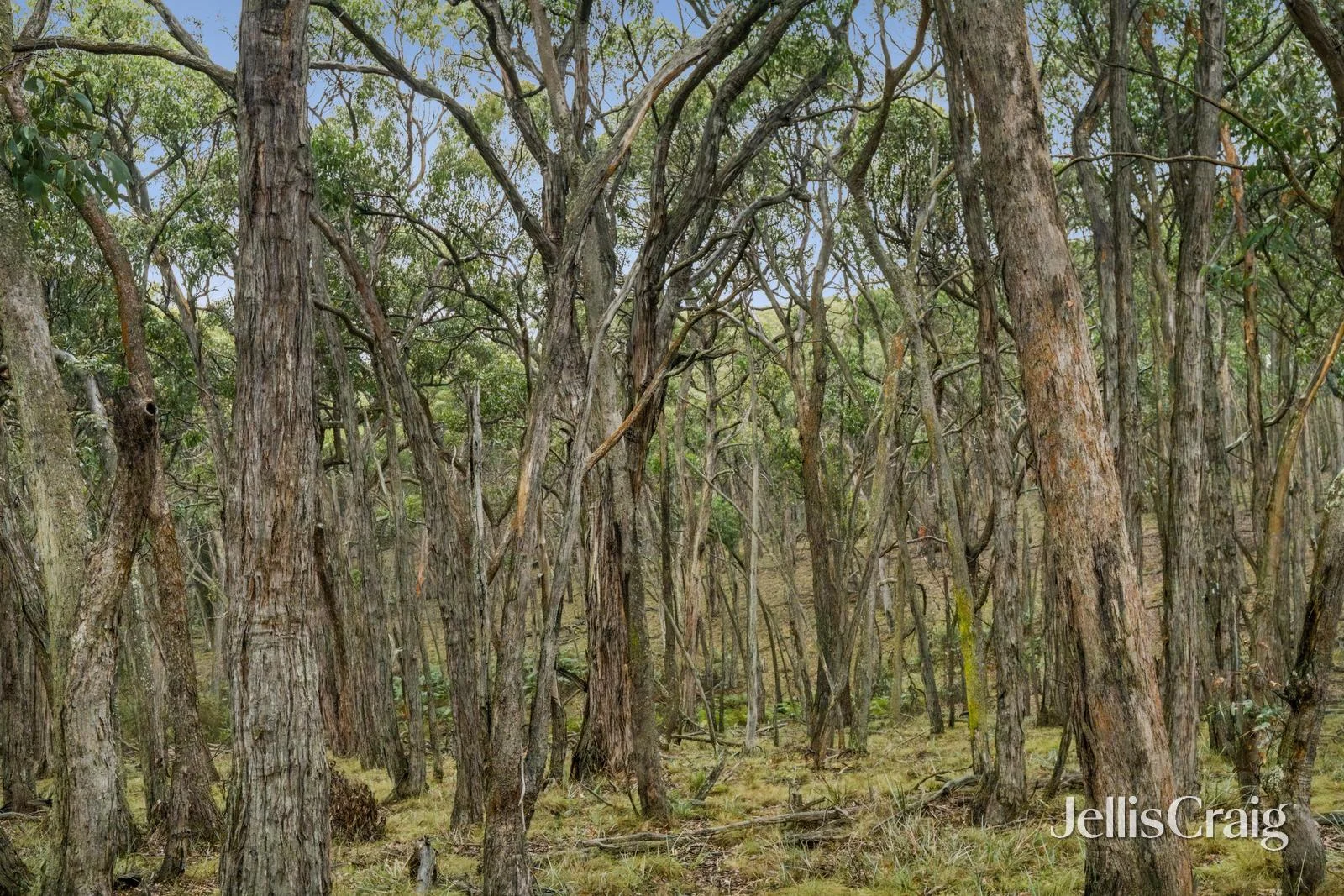 Additional image 15 of Lot 1 Skirkas Road, Buninyong VIC 3357