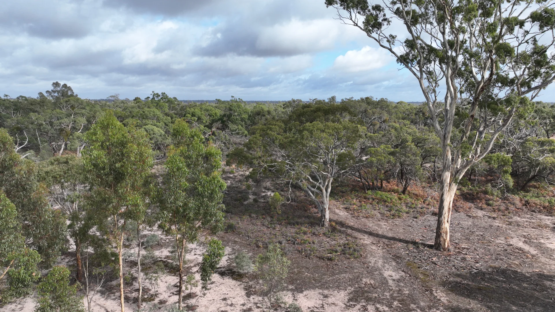 Additional image 5 of 2 Toolondo Drive, Toolondo VIC 3401