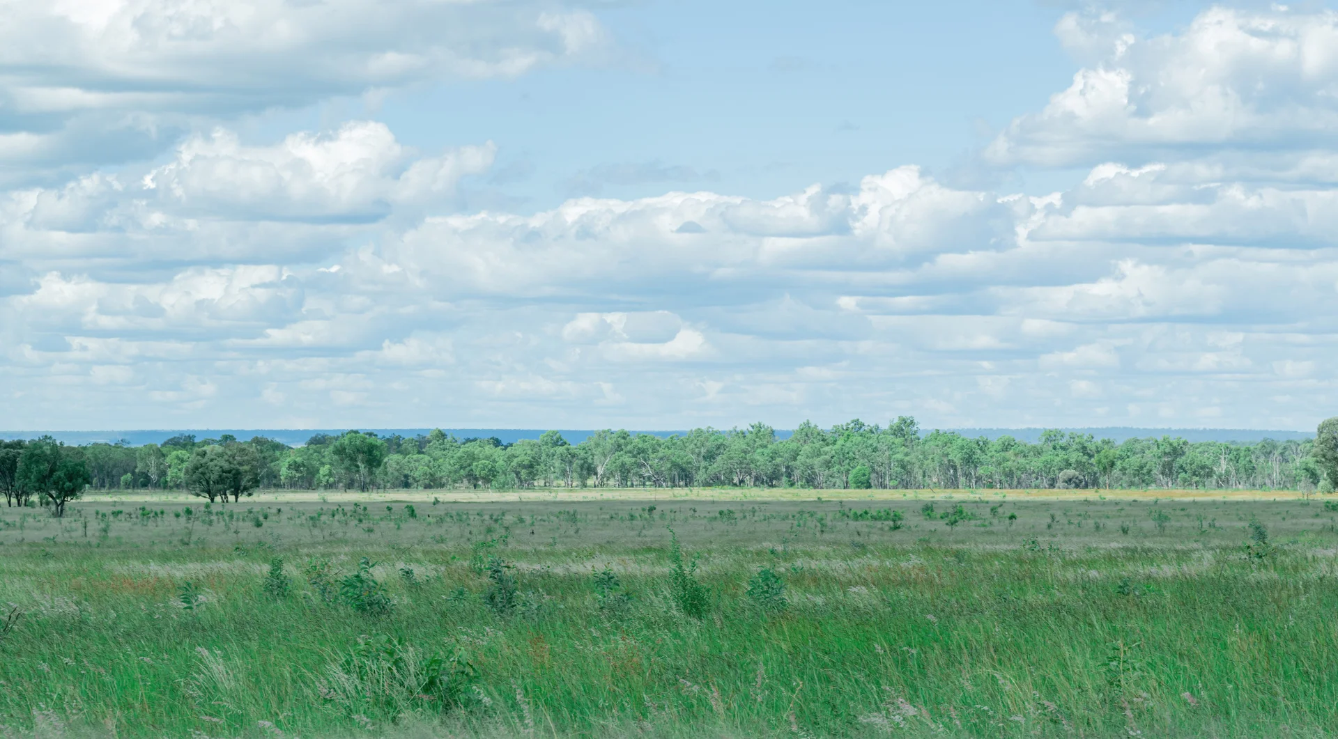 Additional image 27 of 14237 Capricorn Highway, Dingo QLD 4702