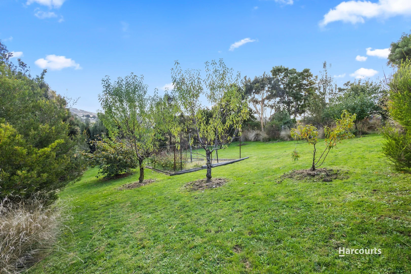 Additional image 18 of 49C Thorp Street, Cygnet TAS 7112