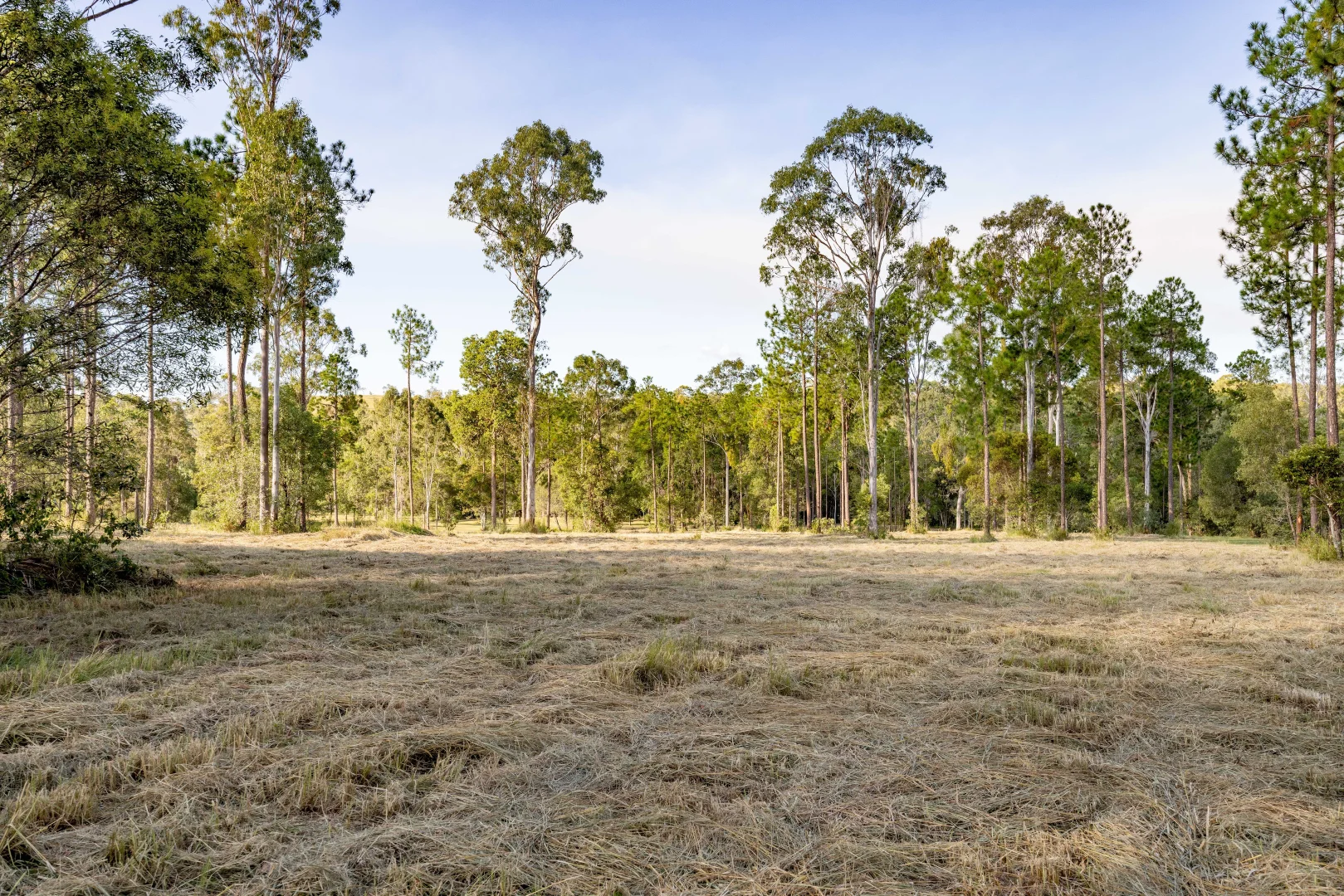 Additional image 6 of Lot 205 & 206 Arborfive Road, Glenwood QLD 4570