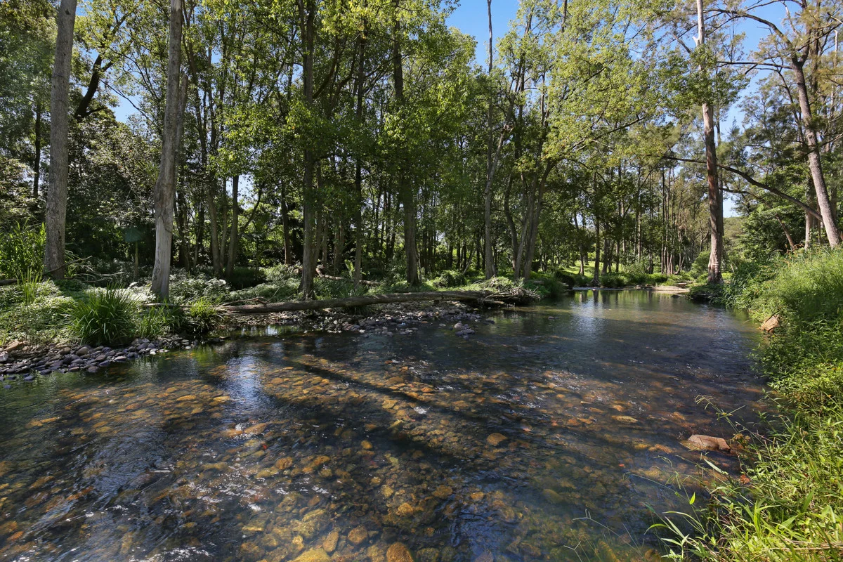 52B Syndicate Road, Tallebudgera Valley QLD 4228