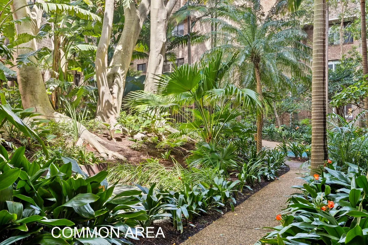 Additional image 14 of 37/1 Tewkesbury Avenue, Darlinghurst NSW 2010