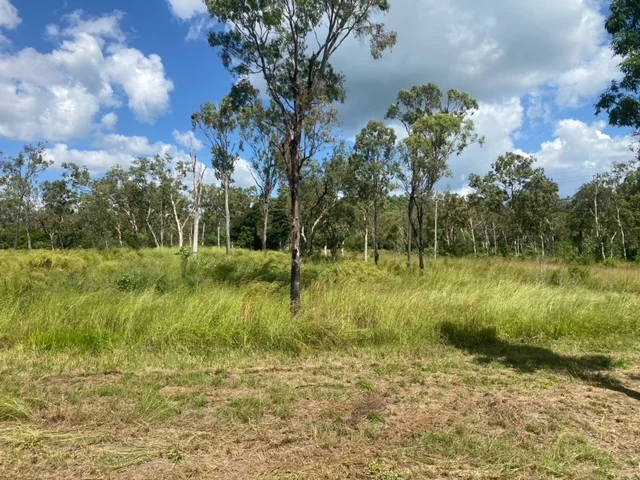 Additional image 2 of Lot 21 Exmoor Road, Bloomsbury QLD 4799