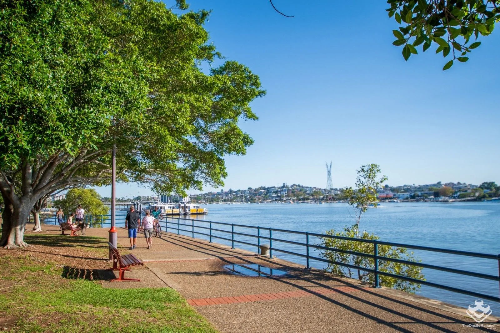 Additional image 13 of ID:21173981/39 Vernon Terrace, Teneriffe QLD 4005