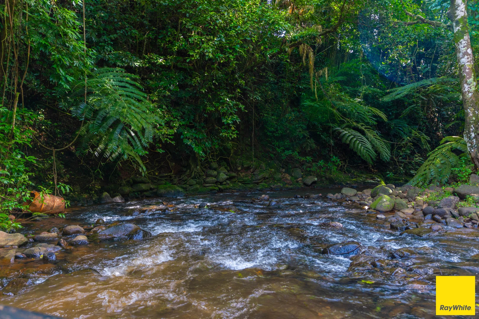 Additional image 34 of 2071 Palmerston Highway, East Palmerston QLD 4860